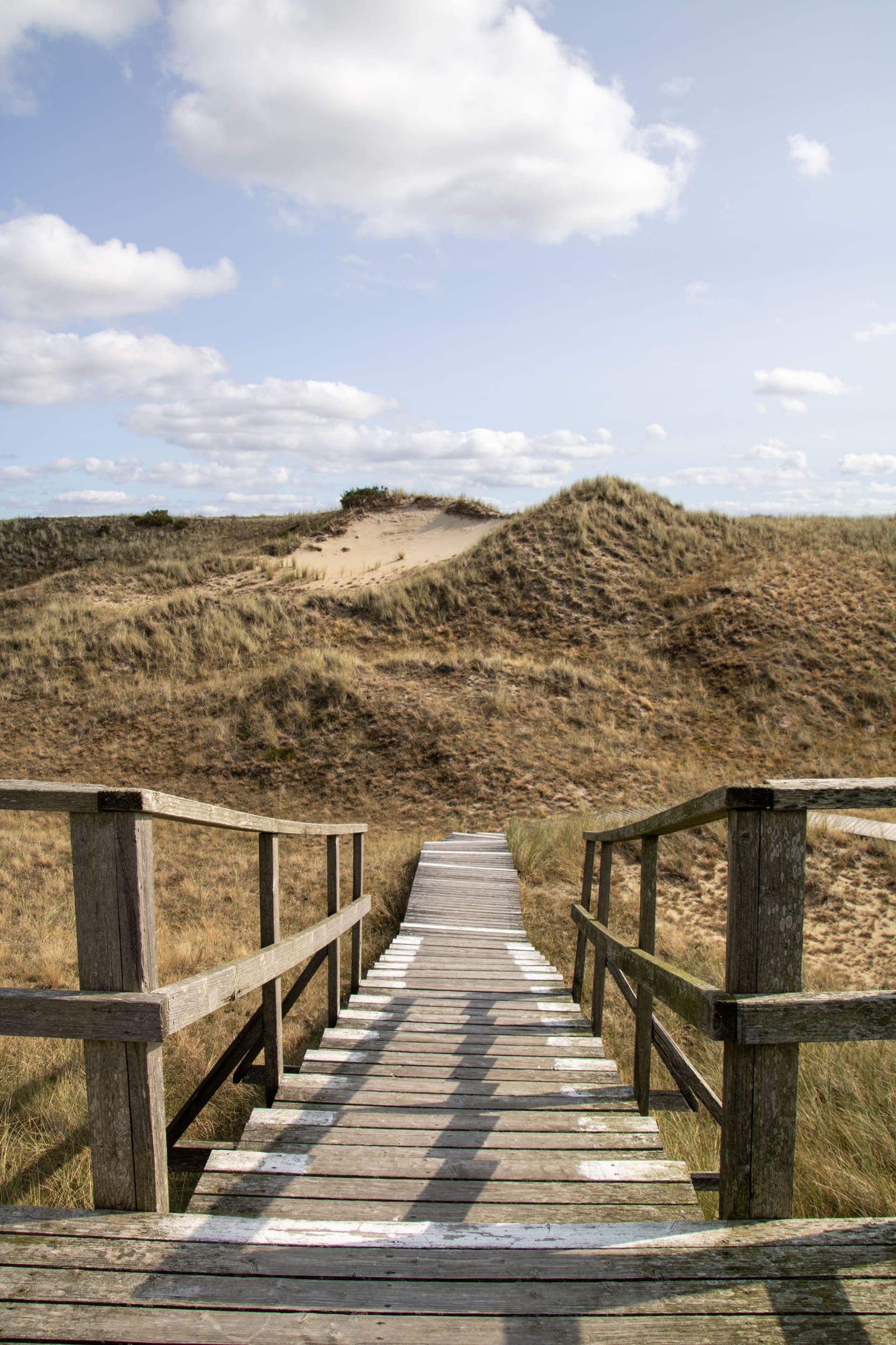 Chemin en planches à travers les dunes, en bord de mer